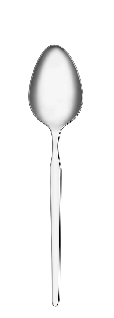 A2113 Truva 6 pcs Dessert Spoon