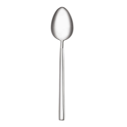 A2123 Veneta 12 pcs Starter Spoon