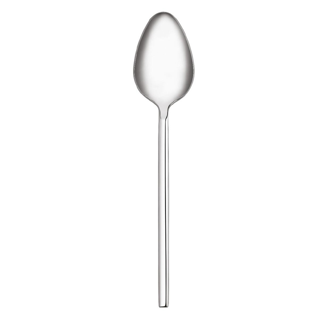 A2100 Zeta 12 pcs Dinner Spoon