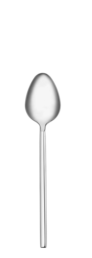 A2106 Zeta 12 pcs Tea Spoon