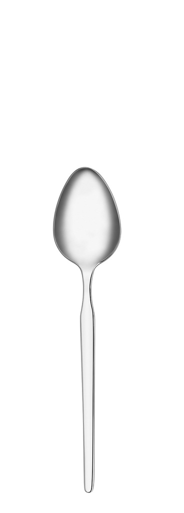 A2116 Truva 6 Pcs Tea Spoon