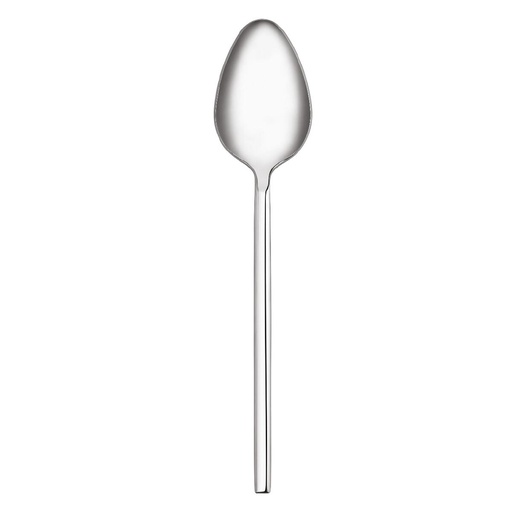 A2100 Zeta 12 pcs Dinner Spoon